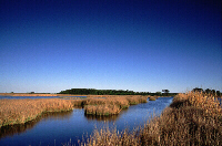 Pristine Wetlands, Image No. A006, Available as Limited Edition Print